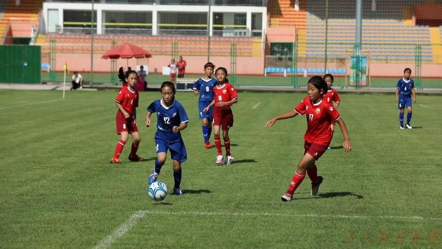 开云官网：梦想不停，希望不止 | “希望杯”足球赛U10组（潍坊赛区）开踢！