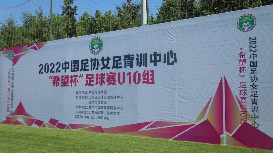 开云官网：梦想不停，希望不止 | “希望杯”足球赛U10组（潍坊赛区）开踢！